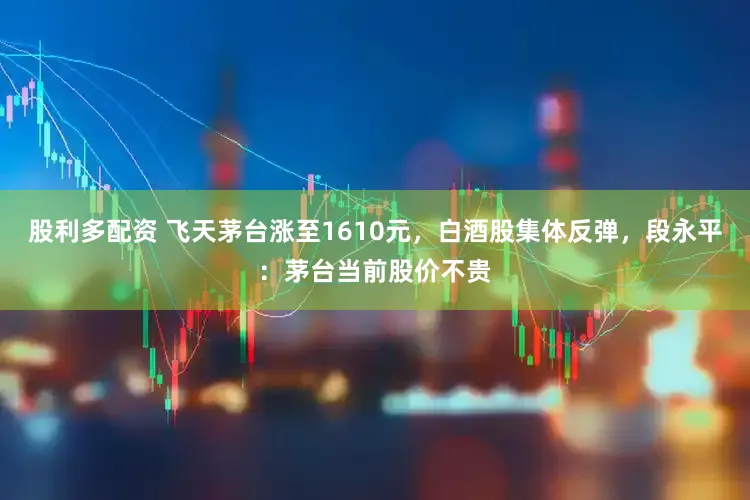 股利多配资 飞天茅台涨至1610元，白酒股集体反弹，段永平：茅台当前股价不贵