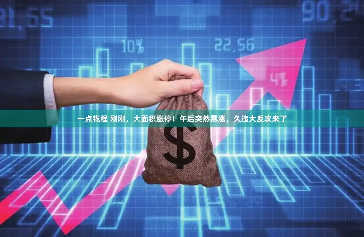 一点钱程 刚刚，大面积涨停！午后突然暴涨，久违大反攻来了