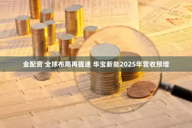 金配资 全球布局再提速 华宝新能2025年营收预增