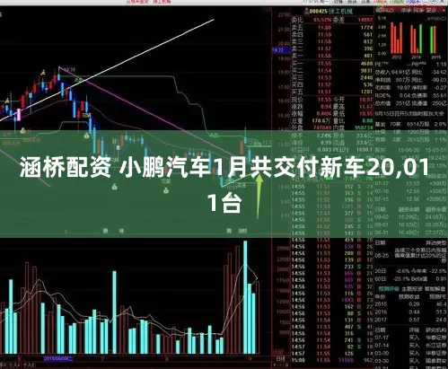 涵桥配资 小鹏汽车1月共交付新车20,011台