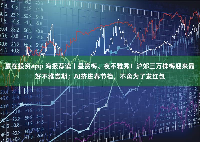 赢在投资app 海报荐读｜昼赏梅、夜不雅秀！沪郊三万株梅迎来最好不雅赏期；AI挤进春节档，不啻为了发红包