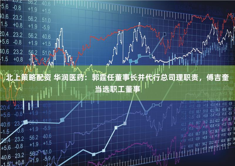 北上策略配资 华润医药：郭霆任董事长并代行总司理职责，傅吉奎当选职工董事