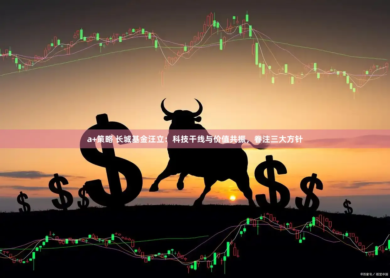 a+策略 长城基金汪立：科技干线与价值共振，眷注三大方针