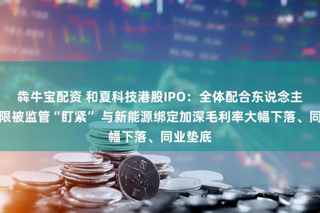 犇牛宝配资 和夏科技港股IPO：全体配合东说念主执照受限被监管“盯紧” 与新能源绑定加深毛利率大幅下落、同业垫底