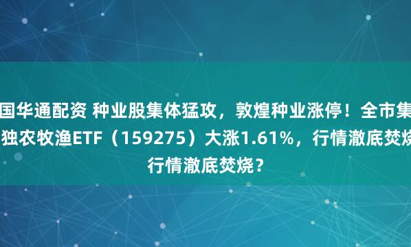 国华通配资 种业股集体猛攻，敦煌种业涨停！全市集唯独农牧渔ETF（159275）大涨1.61%，行情澈底焚烧？