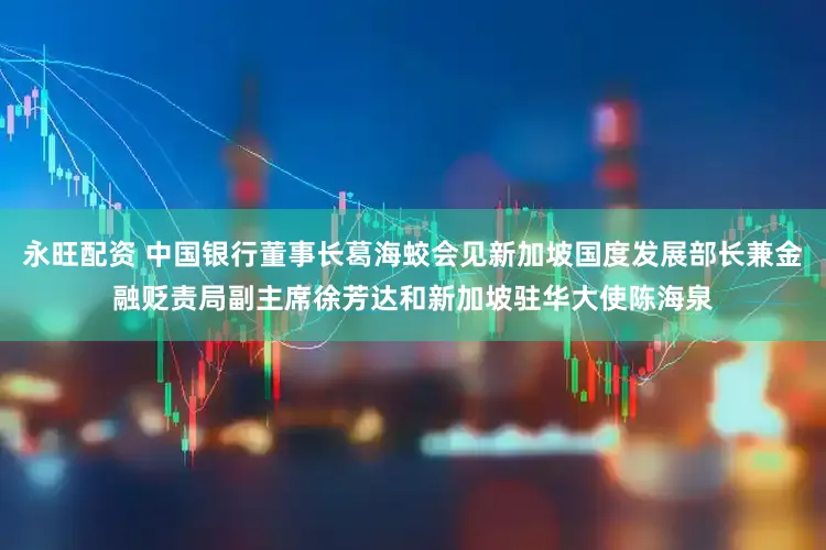 永旺配资 中国银行董事长葛海蛟会见新加坡国度发展部长兼金融贬责局副主席徐芳达和新加坡驻华大使陈海泉