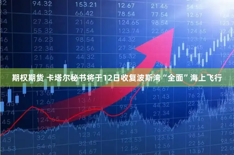 期权期货 卡塔尔秘书将于12日收复波斯湾“全面”海上飞行