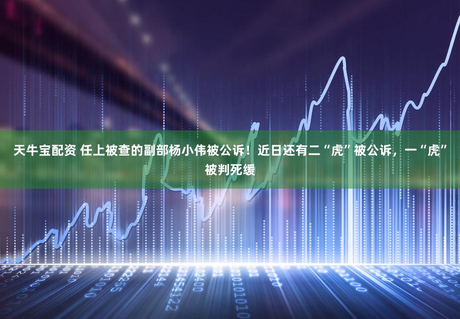 天牛宝配资 任上被查的副部杨小伟被公诉！近日还有二“虎”被公诉，一“虎”被判死缓