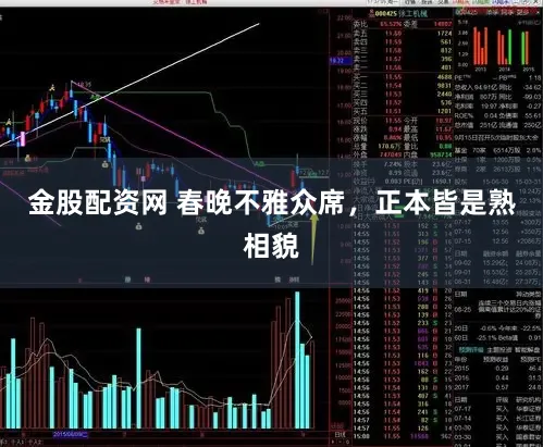 金股配资网 春晚不雅众席,正本皆是熟相貌